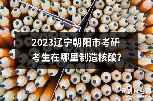2023辽宁朝阳市考研考生在哪里制造核酸？